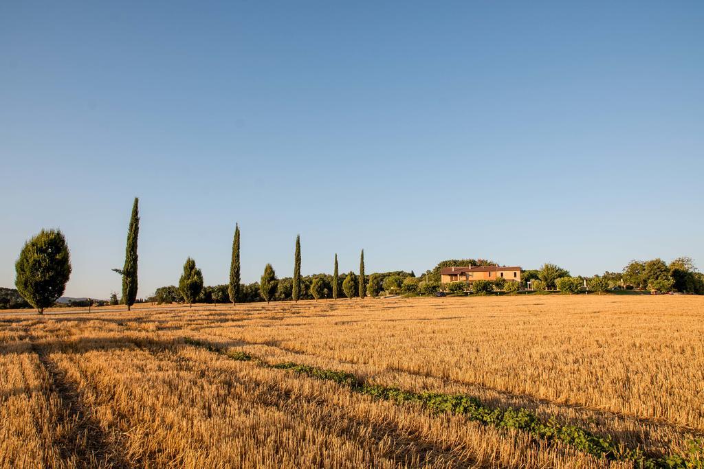 Agriturismo Il Tiro Castel del Piano  Extérieur photo
